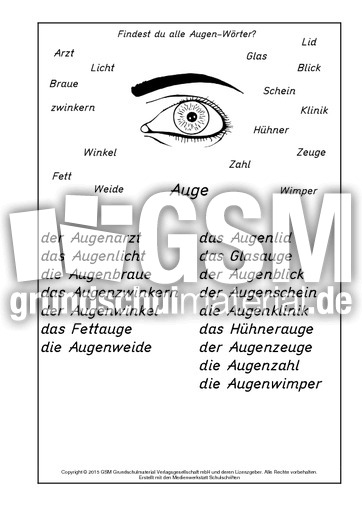 Augen-Wörter-Lösung.pdf
